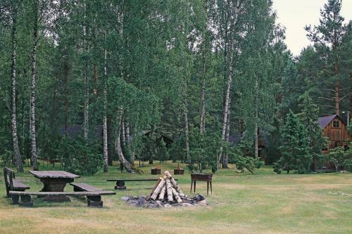 Niidupuu Camping