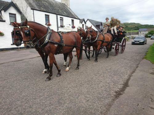Posada The Horseshoe Inn