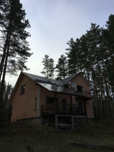 ?????? ??????? Svetofor ? Narva-j�esuu