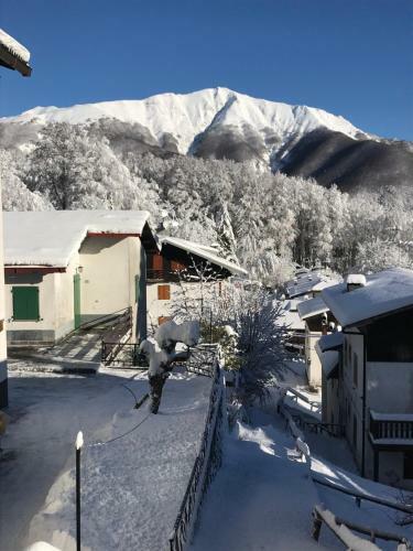 Apartamento Appartamento Agrifoglio