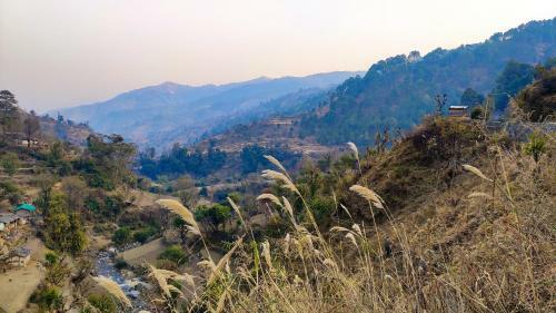 Panchvati Eco Homestay