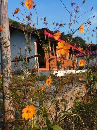 Panchvati Eco Homestay