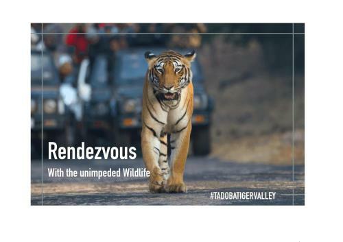 Hotel Tadoba Tiger Valley Resort