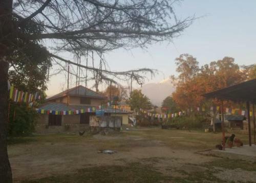 Bed & Breakfast Odyssey's Devbala Farm Stay