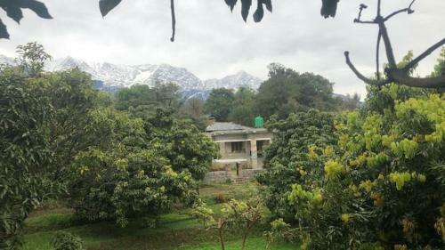 Bed & Breakfast Odyssey's Devbala Farm Stay
