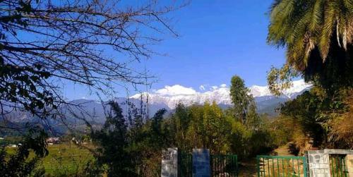 Bed & Breakfast Odyssey's Devbala Farm Stay