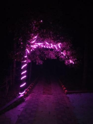 Silver Springs Homestay