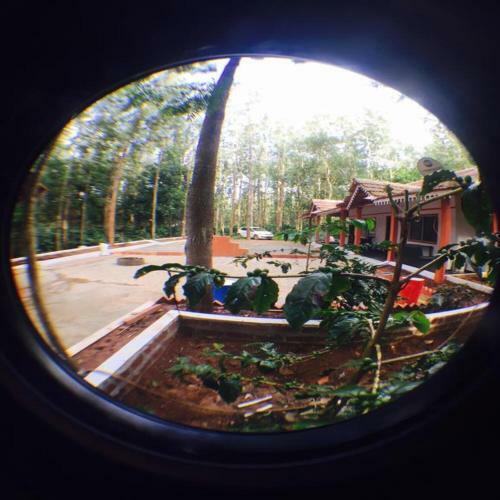 Tripthrill Silver Shadow Homestay
