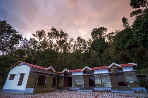 Livingstone The Coffee Ranch