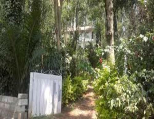 Tripthrill Green Leaf Mount Homestay