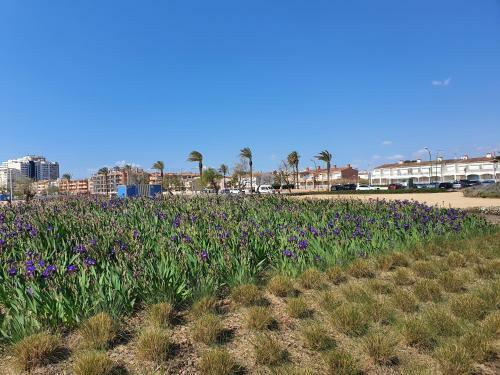 Apartamento Blue Sea