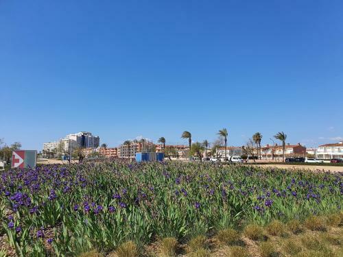 Apartamento Badia 24