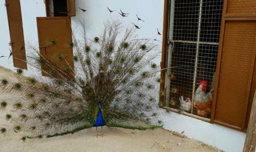 Apartamento El Carrascal, 2 Llaves, Rural