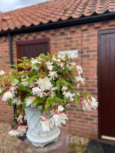 Hostal Willow Tree Cottages