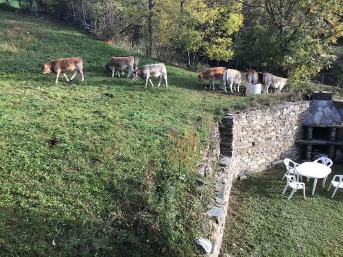 Apartamento Cal Ramundaina