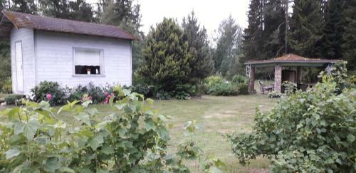 Metsj�rve K�mpingumajake
