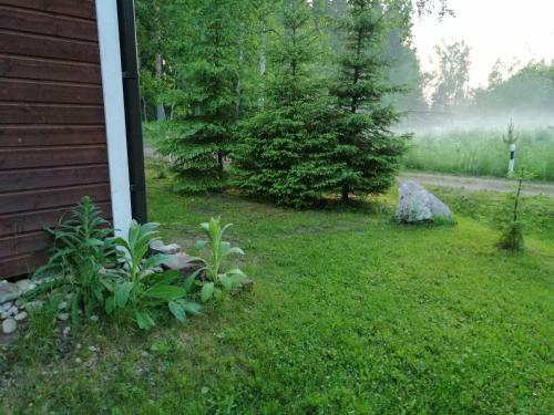 Lodge Ainja Puhkemaja