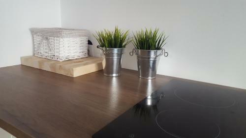 Roosi Apartment