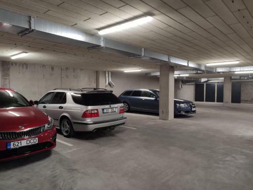 Apartamento Raudteevalitsuse Villa