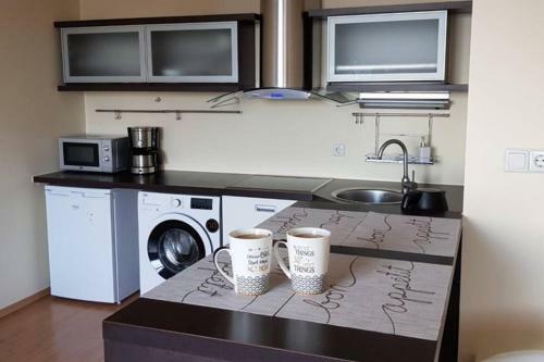 P�rnu River And Central City View Apartment