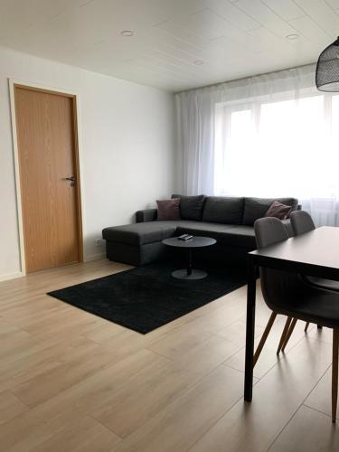 Apartment Riia Mnt 88