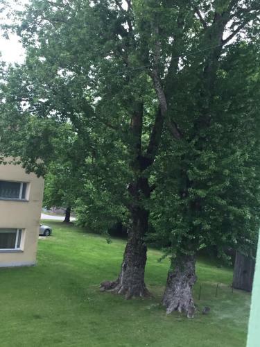 Apartamento Ravi 1, P�rnu