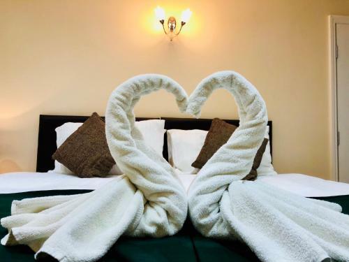 Hostal Hill Lodge