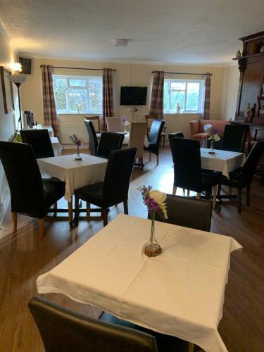 Hostal Hill Lodge