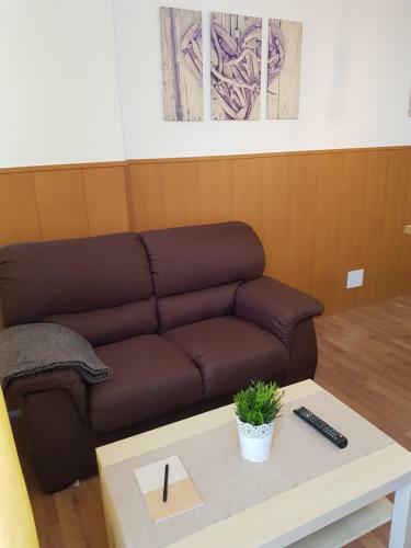 Island Friendly Apartment