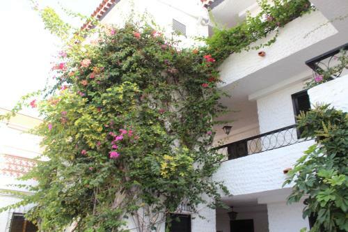 Apartamento Casa Blanca - Sea View - First Line