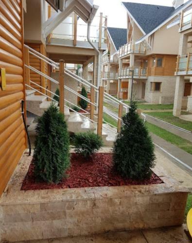 Apartmani B&n