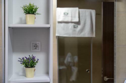 Apartman Mitic, Zlatibor