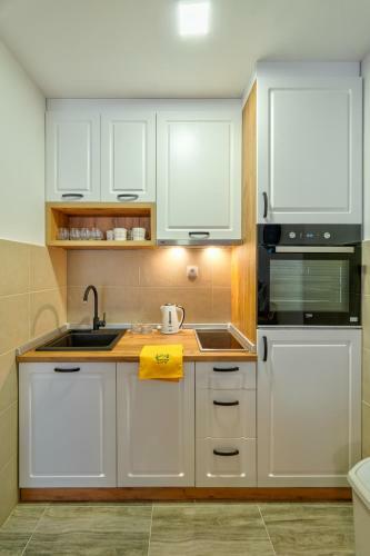 Apartman Mitic, Zlatibor