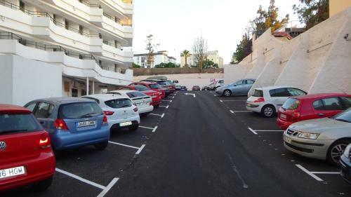 Flamingo Friendly Apartment