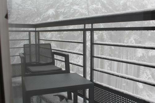 Apartman Frozen