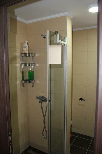 Apartman Frozen