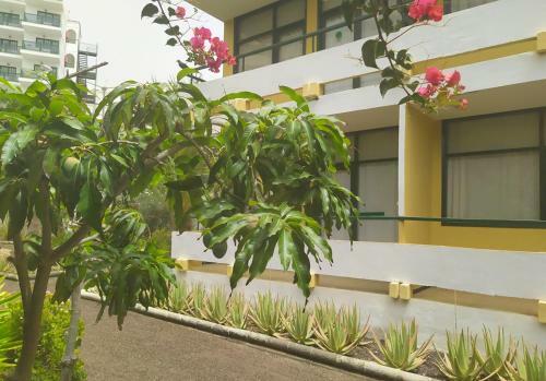 Apartamento Caroni