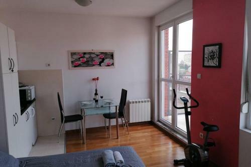 Apartment Nina
