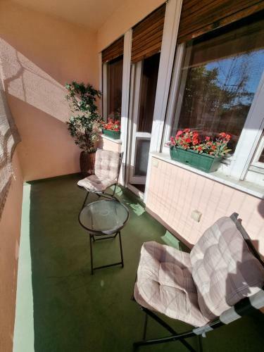 Apartment Deluxe Vo?dovac