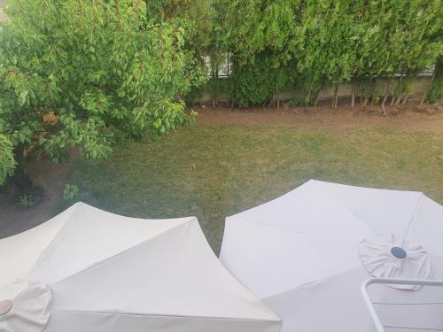 Hostal Guest House Jasmin