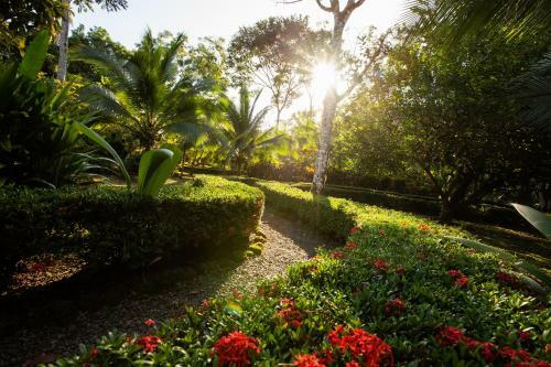 Quinta Anamaya