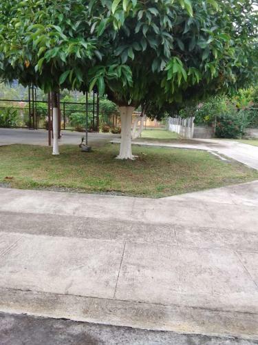 Apartamento Sleep'ngo Cabin Siquirres