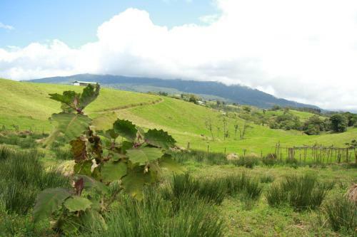 Casa Volcano Panoramic View