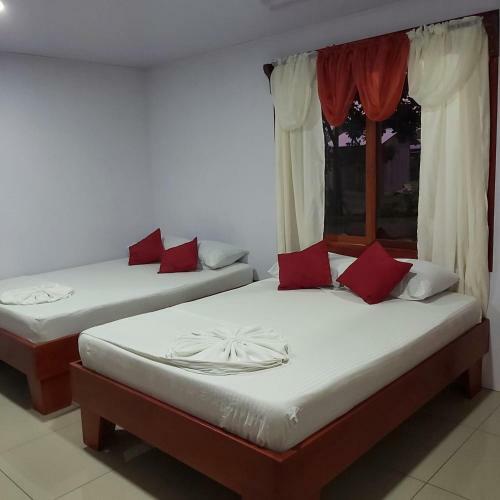 Posada Caba�as Daneysha Tortuguero