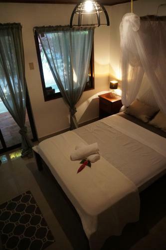 Hostal El Gato Rojas Surf Hostel