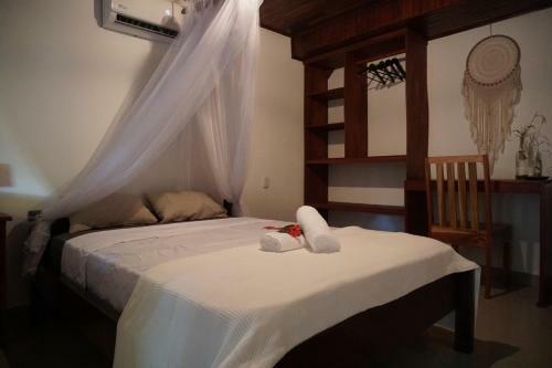 Hostal El Gato Rojas Surf Hostel
