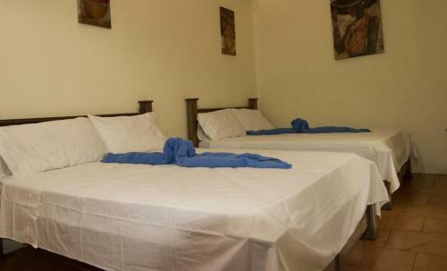 Hostal Casa Tucanes