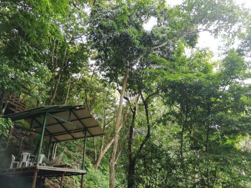 Bed & Breakfast La Monta�ita Lodge