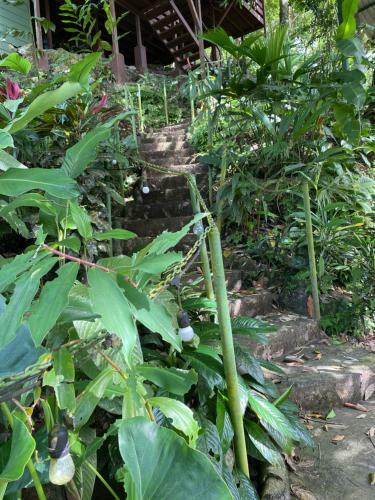 Bed & Breakfast La Monta�ita Lodge