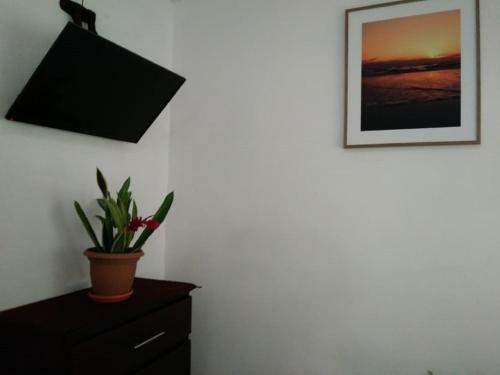 Hostal Bah�a Ballena Loft